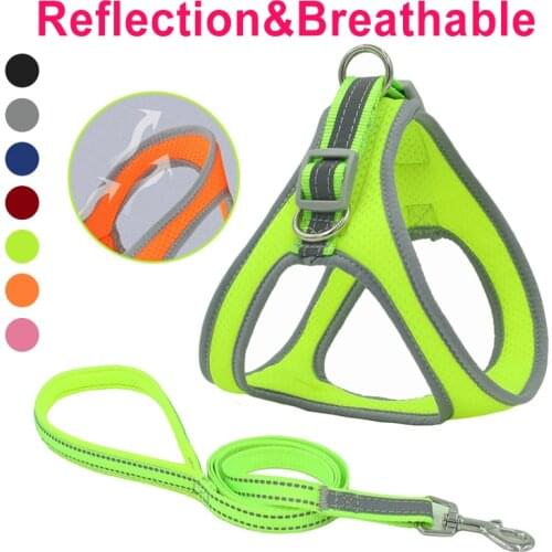 Mesh Fabric Dogs Harness Leash Set Adjustable Reflective Breathable Dog Vest Leashes Walk Run Explosion-Proof Pets Accessories