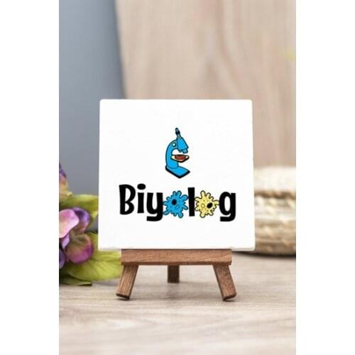 Modern Biologist Stone Table Decor trinket baratija حلية орнаментальный