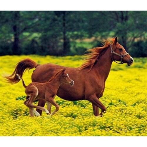 Diy 5d Diamond Painting 100% Diamond Mosaic Running horses Handmade Cross Stitch Kits Diamond Embroidery Patterns Rhinestones