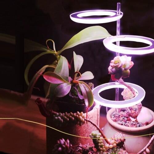 EJZYLED Plant Lamps