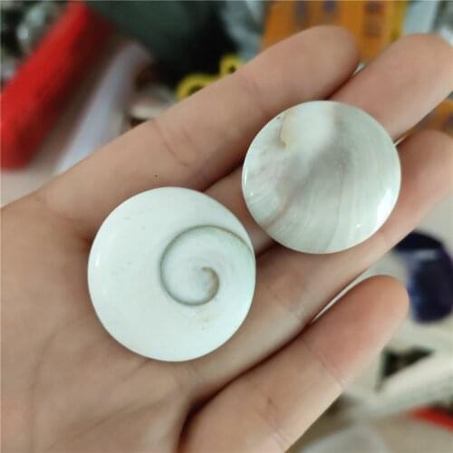 2pcs Natural Sun Shell Fossil Specimen Crystal Love Round Reiki Shiva Eye