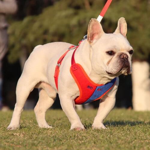 Set Dog Harness with Leash Summer Double Color Pet Adjustable Vest Walking Puppy Harness for Small Medium Dog