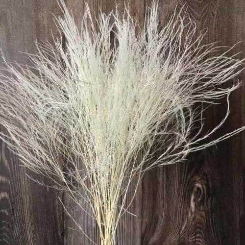 About 40CM/10PCS Real Dried Natural Flowers Preserved Feather Grass,Dry Arundinacea Eternelle,Home Decor,Wedding Decoration