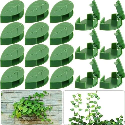 10pcs Plant Fixture Clip Plant Climbing Wall Self-Adhesive Fastener Tied Fixture Vine Buckle Hook Garden Plant Wall Climbing