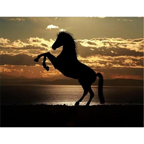 5D DIY Diamond Painting Beach horse Needlework Diamond Mosaic Craft Full Round Diamond Embroidery animal Home Decoration P1206