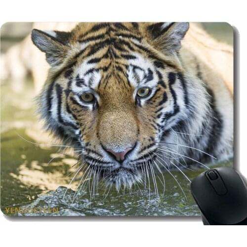 Mouse Pad With Stitched Edge,Tiger Predator Muzzle Eyes Big Cat 109033 Mouse Pads