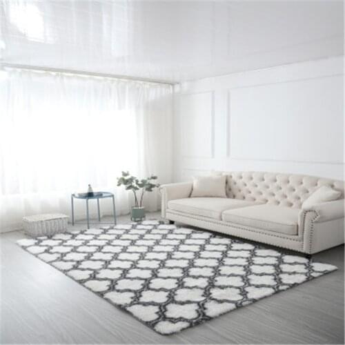 Thick Plush Carpet for Living Room Plush Rug Bed Room Fluffy Floor Carpets Window Bedside Home Decor Rugs Soft Velvet Mat