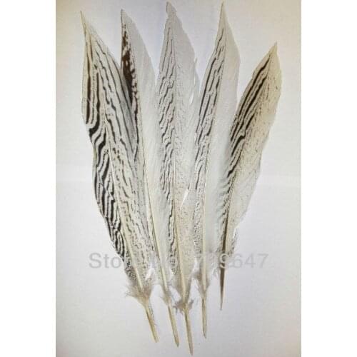 Hat Feathers ! 30pcs/Lot 10-12" 25-30CM Silver Pheasant Feather Tails Silver Pheasant Tail Feathers
