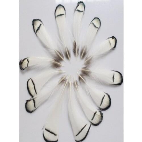 Hot Sale 10 pcs Pretty Natural Pheasant Feathers 5-10 cm DIY Jewelry Clothing Hat Christmas Holiday Decoration