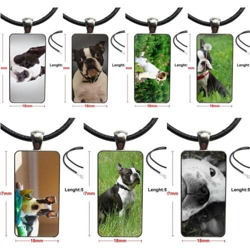 For Men Women Boston Terrier Pet Dog Puppy Necklace With Steel Plated Glass Cabochon Choker Long Pendant Rectangle Necklace
