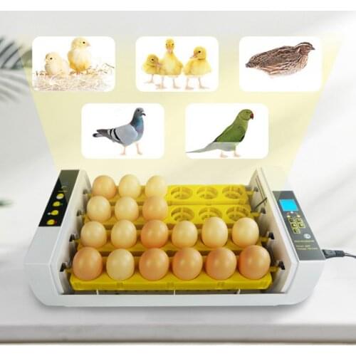Automatic Egg Incubator Hatches Quail Hatcher Hatching Machine Breeder