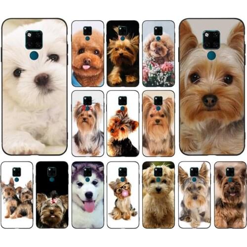 Yinuoda Yorkshire terrier dog Newest Fashion Phone Case for huawei mate 10 20 lite pro X Honor play Y6 5 7 9 prime 2018 2019