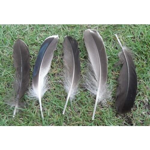 Plume!100pcs/Lot 10-15cm Nature Mallard Duck Wing Quill Feathers,Grey Mallard Feathers,Feathers for Crafts,Feather decoration