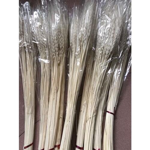 10 Bundles Dried Bleached White Wheat Grass Flower For Wedding Party Home Hotel Decoration DIY Bouquet Making