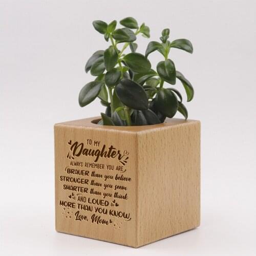 Wooden Succulent Planter Pot Balcony Fleshy Potted Plant Customized Fiter To Daughter Dropship Accesorios Store Valentines Day