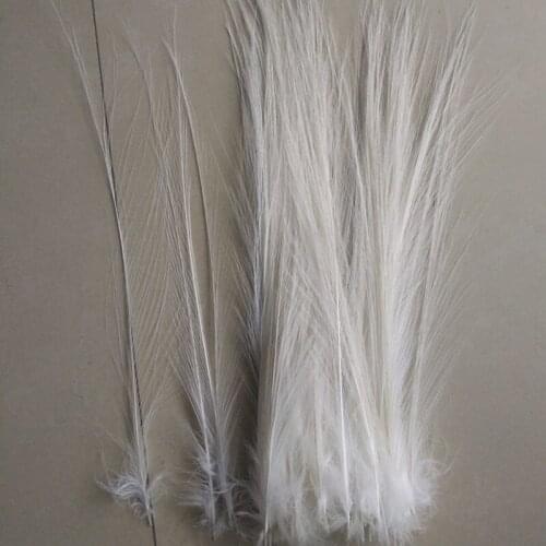 100 PCS of rare natural white feather 10 to 12 inches / 25 to30 centimeters beautiful Heron Feathers