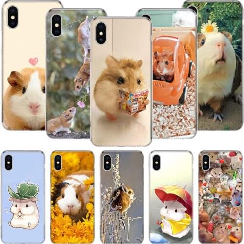 Cute Lovely Pet Hamster Phone Case For iPhone 11 12 Pro XS XR X Max 7 8 6 6S Plus Mini + 5 SE Pattern Customized Coque Cover Cap