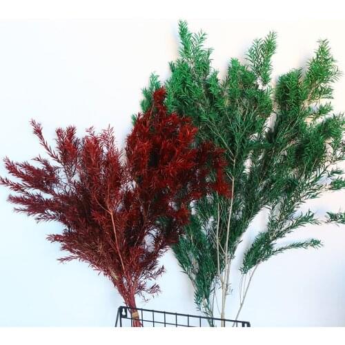 Natural Fresh Preserved Eternelle Flower Leaves for Wedding Party Decoration Home Living room Decoration Accessories Plantas