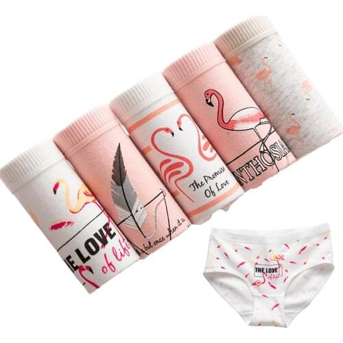 5 Pcs/lot Panties Women Girls Underwear Cotton Briefs Seamless Cueca Calcinhas Sexy Lingeries Shorts transparent Underpant Boxer