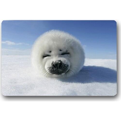 Harp Seal Floor Mat Anti-slip Kitchen Carpet Bathroom Toilet Tapete Water Absorption Non-slip Bath Rug Porch Doormat