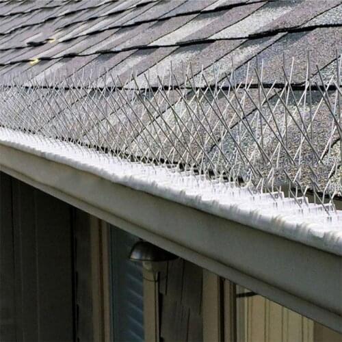 Outdoor Bird Repellent Stainless Spikes Eco-friendly Anti Nail For Pigeons Owl Small Fence Roof Sign Protector Deterrent Tool