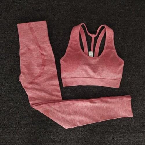 Female Seamless Yoga Set Women Gym Fitness Clothing High Waist Leggings+Bra Yoga Suit Training Sport workout Sportswear