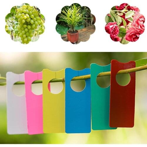 30Pcs Waterproof Plastic Plant Tags Garden Orchard Plant Fruit Labels Greenhouse Nursery Pot Markers Seedling Lable 6 Colors 60