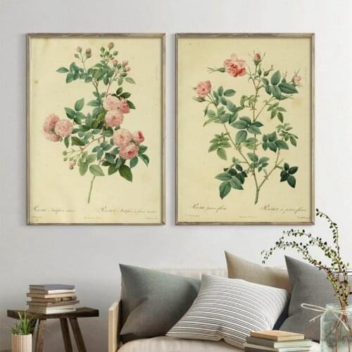 Antique Plants Illustrations Canvas Posters Vintage Botanical Prints Office Studies Decor Wall Art Pictures Rose Flower Painting