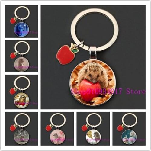 Cute Hedgehog Keychain Handmade Lovely Cartoon Photo Animal Women Glass Cabochon Key Rings Key Chains Gift for Girls