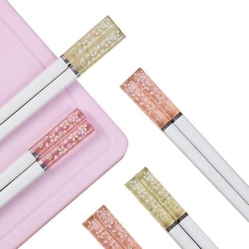 Reusable Chopsticks 10 Pair Amber Chopsticks Alloy Non-Slip Sushi Food Chinese Gift tableware Chinese chopsticks set Kitchen