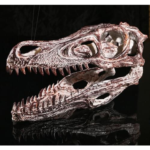 Rare Resin Skull Dinosaur fossil replica Creature Skull Velociraptor Dinosaur Skull Resin Specimen Decorative Ornaments Christm
