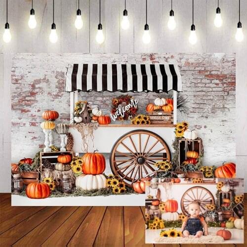 Mehofond Autumn Farm Photography Background Pumpkin Sunflower Baby Shower Birthday Party Backdrop Photocall Photo Studio