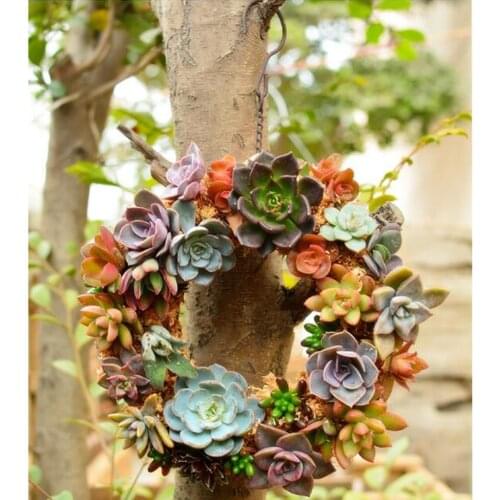 Vintage Rustic Iron Ring Frame Wire Wreath Succulent Pot ing Pot 21cm