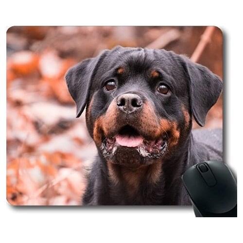 Dog Lover Mouse Pad,Dog Portrait Cute Mammal Animal Rottweiler,dogs mouse mat