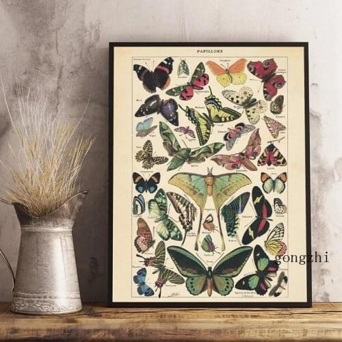 Insect Kind Nature Education Vintage Posters Antique Butterfly Canvas Painting Prints Nursery Wall Art Pictures Kids Room Decor