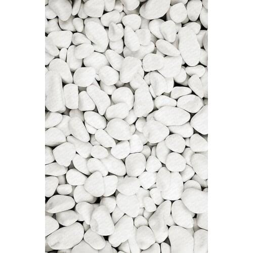 2021 High Quality Rugs and Pebble Pattern Digital Printed Large Comfortable Soft Carpet Trend House Rugs Home Decoration New