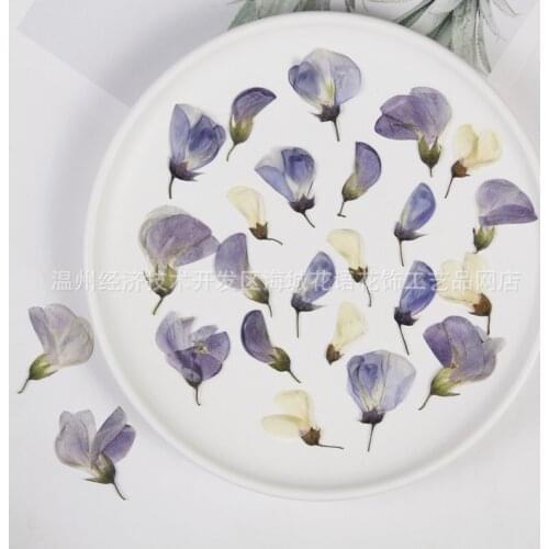 Wisteria Bud Real Flower Embossed Dried Flower Specimen Handmade Diy Resin Epoxy Frame Material