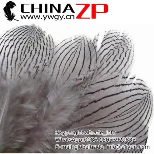 Gold Manufacturer CHINAZP Factory 50pieces/lot 8~10cm Length Exporting Good Quality Dyed Grey Silver Pheasant Feathers