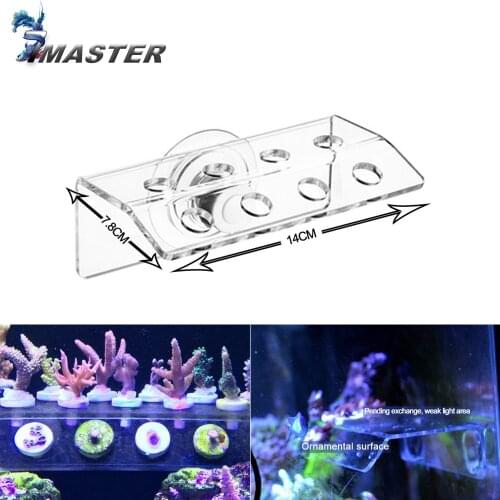 Phyto Plus Coral Frag SPS Support Stand Bracket Acrylic Strong Suction cup Fix Aquarium Fish Tank Reef Inclined Plane