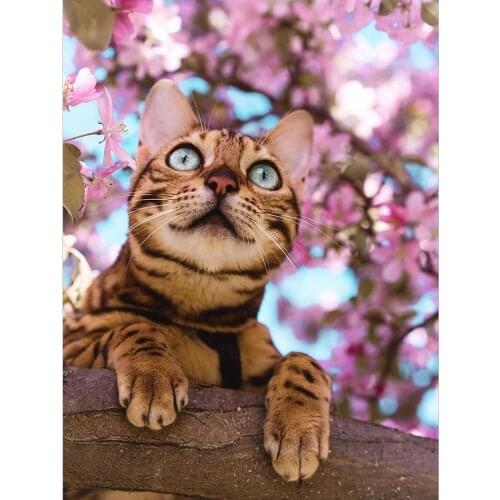 5D DIY Diamond Painting Cat Mosaic Rhinestones Full Square Diamond Embroidery Animal Kit Home Decoration Gift Sale