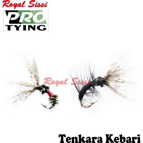 Royal Sissi Pro Tying 6pcs size14#16# Tenkara fly fishing flies two optional styles Sakasa Kebari artificial insect lure bait