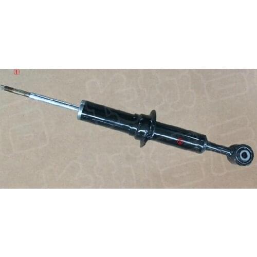 2905101XPW04A Front shock absorber column assembly for greatwall pao