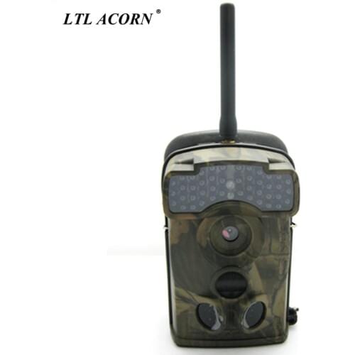 LTL ACORN Carnival Costumes