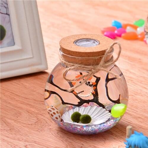Seaweed ball ecological bottle with light micro landscape ecological bottle DIY gift snow globe bottle