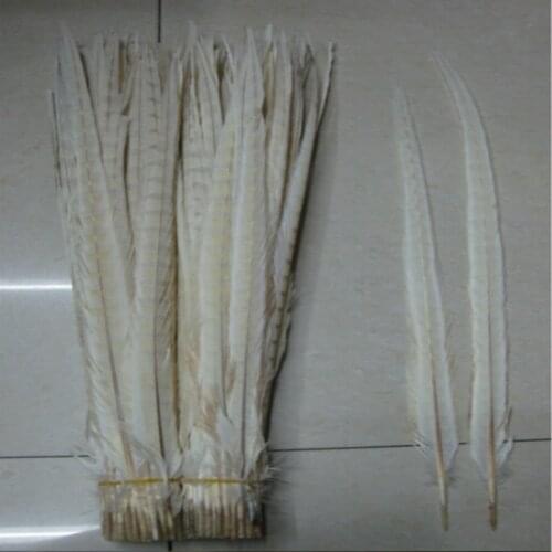 Wholesale 100pcs/lots pretty Dyed 55-60cm/22-24''' copper chicken feather White pheasant Tail feathers