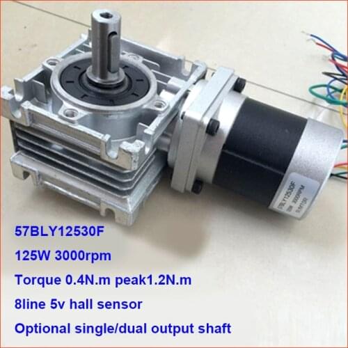 NEMA 23 Worm Reducer Brushless DC Motor 24V 3000rpm 125W Gear Ratio 5:1-100:1