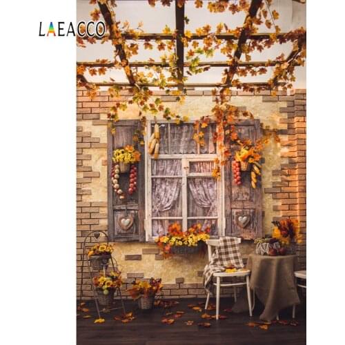 Laeacco Yard Window Chair Autumn Fruit Photography Backgrounds Customized Photographic Backdrops For Photo Stadio