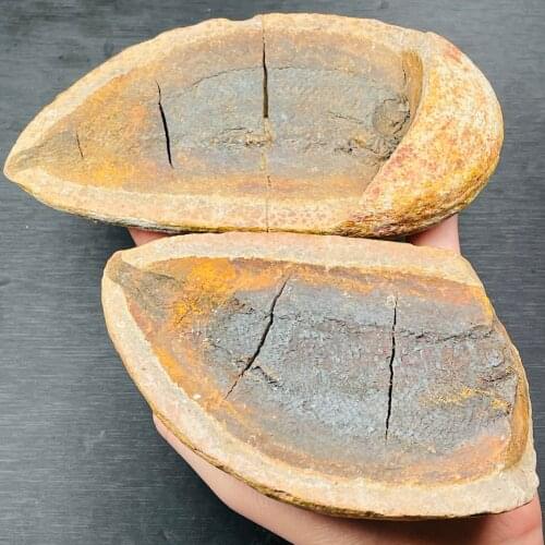 Natural Rarel Fish Fossil Mineral Specimen