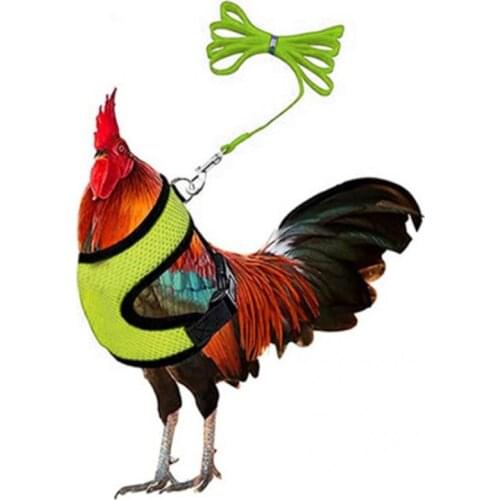 Loose 1 Set Wearable Chicken Safety Chest Strap Unisex Poultry Leash Multi-use for Cat Dog