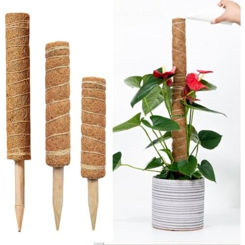 Plant Climbing Pole Bracket To Keep Moisture Flower Stand Garden Frame For Climbing Plant Vine Gardening Supplies